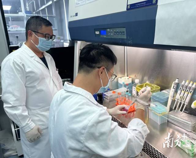 臧健坤(右一)正在做實驗。市一醫院供圖 臧健坤(右一)正在做實驗。市一醫院供圖