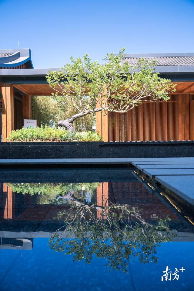 惠州環南昆山—羅浮山引領區東坡十六樂事驛站全面運營 惠州環南昆山—羅浮山引領區東坡十六樂事驛站全面運營