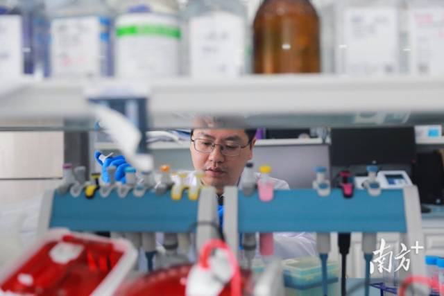 聚焦“以企引才、以才引才、平臺引才”,通過真金白銀獎勵激發(fā)社會力量參與熱情。 聚焦“以企引才、以才引才、平臺引才”,通過真金白銀獎勵激發(fā)社會力量參與熱情。