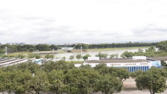 在廣州白云區的廣東國際劃船中心，皮劃艇運動員們正揮槳訓練，船槳激起陣陣水花。