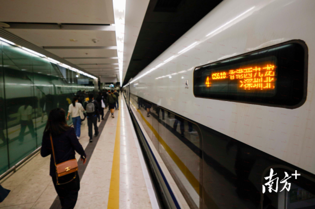 高鐵出行的便利,讓家屬可以實現“上午探親下午返港”,圖為廣深港高鐵。 高鐵出行的便利,讓家屬可以實現“上午探親下午返港”,圖為廣深港高鐵。