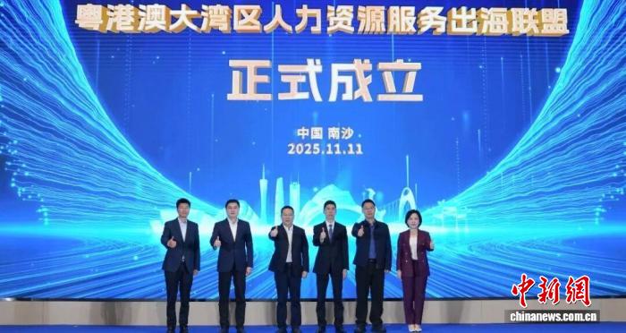 成立現場。南沙區政府 供圖 成立現場。南沙區政府 供圖