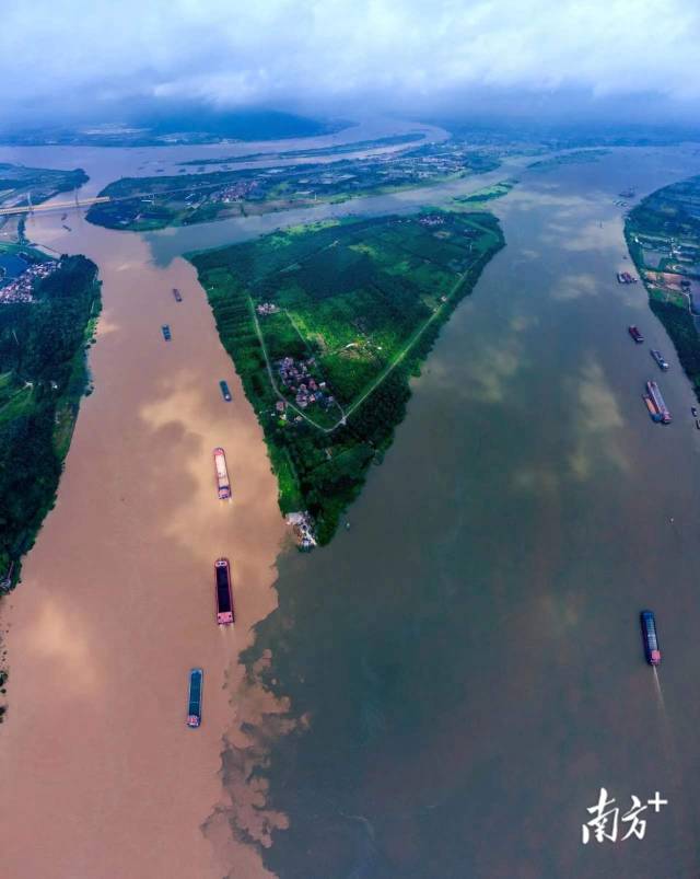 每年汛期,來自西江與北江的洪水在佛山三江匯流處交匯。資料圖片 每年汛期,來自西江與北江的洪水在佛山三江匯流處交匯。資料圖片