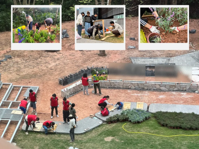 粵海氣候韌性社區企業員工志愿者參與植被改造過程 粵海氣候韌性社區企業員工志愿者參與植被改造過程