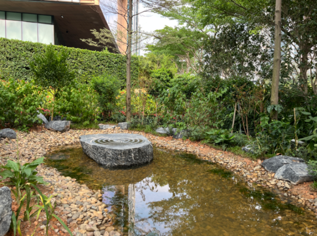 粵海氣候韌性社區改造后層次豐富的植物群落和涌泉、旱溪相連的可循環體系 粵海氣候韌性社區改造后層次豐富的植物群落和涌泉、旱溪相連的可循環體系